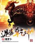 逆变乾坤